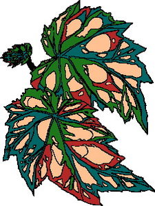 Cliparts Bloemen en planten Bladeren 