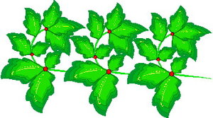 Cliparts Bloemen en planten Bladeren 