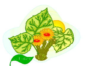 Cliparts Bloemen en planten Bladeren 