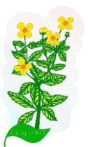 Cliparts Bloemen en planten Bladeren 
