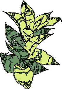 Cliparts Bloemen en planten Bladeren 