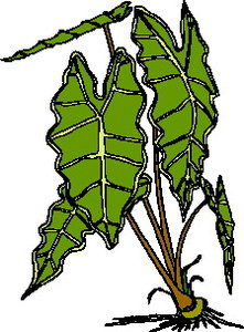 Cliparts Bloemen en planten Bladeren 