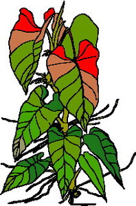 Cliparts Bloemen en planten Bladeren 