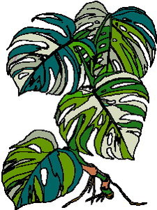 Cliparts Bloemen en planten Bladeren 