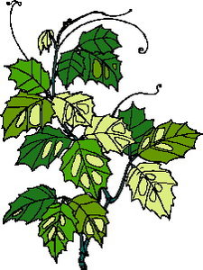 Cliparts Bloemen en planten Bladeren 