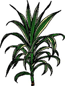 Cliparts Bloemen en planten Bladeren 