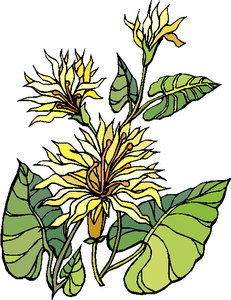 Cliparts Bloemen en planten Bloemen 