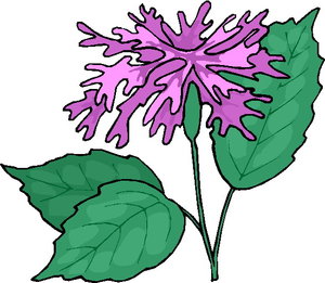 Cliparts Bloemen en planten Bloemen 