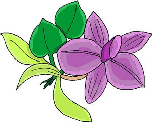 Cliparts Bloemen en planten Bloemen 