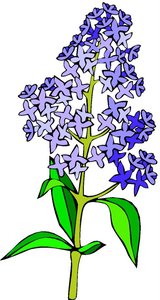 Cliparts Bloemen en planten Bloemen 