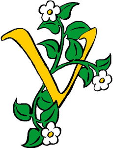Cliparts Bloemen en planten Bloemen 