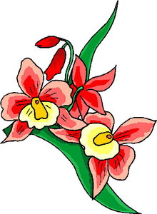 Cliparts Bloemen en planten Bloemen 