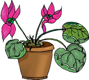 Cliparts Bloemen en planten Bloemen 