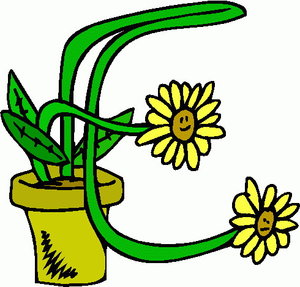 Cliparts Bloemen en planten Bloemen 