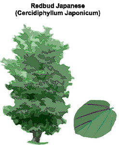 Cliparts Bloemen en planten Bomen 