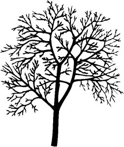 Cliparts Bloemen en planten Bomen 