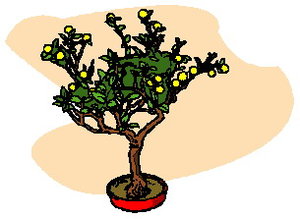 Cliparts Bloemen en planten Bonsai 