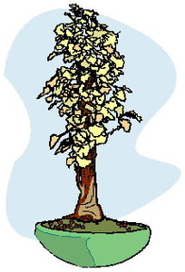 Cliparts Bloemen en planten Bonsai 