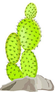 Cliparts Bloemen en planten Cactus 