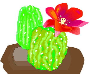 Cliparts Bloemen en planten Cactus 