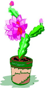 Cliparts Bloemen en planten Cactus 