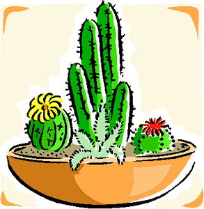 Cliparts Bloemen en planten Cactus 