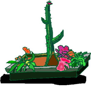 Cliparts Bloemen en planten Cactus 