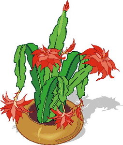 Cliparts Bloemen en planten Cactus 