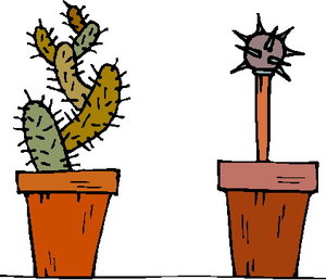 Cliparts Bloemen en planten Cactus 