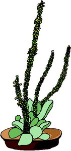 Cliparts Bloemen en planten Cactus 