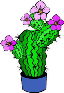 Cliparts Bloemen en planten Cactus 