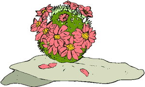 Cliparts Bloemen en planten Cactus 