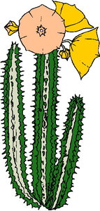 Cliparts Bloemen en planten Cactus 