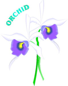 Cliparts Bloemen en planten Orchidee 