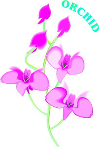 Cliparts Bloemen en planten Orchidee 