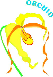 Cliparts Bloemen en planten Orchidee 