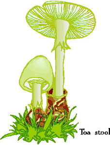 Cliparts Bloemen en planten Paddestoelen 