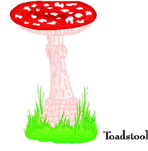 Cliparts Bloemen en planten Paddestoelen 