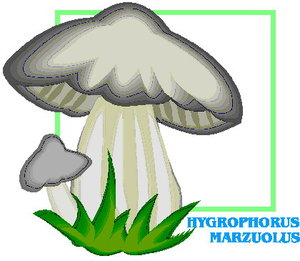 Cliparts Bloemen en planten Paddestoelen 