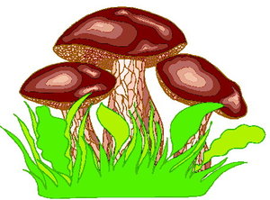 Cliparts Bloemen en planten Paddestoelen 