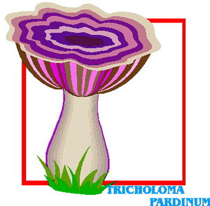 Cliparts Bloemen en planten Paddestoelen 