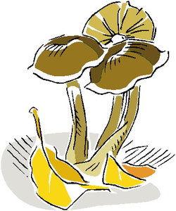 Cliparts Bloemen en planten Paddestoelen 