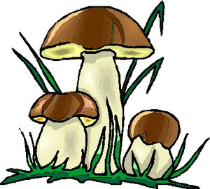 Cliparts Bloemen en planten Paddestoelen 