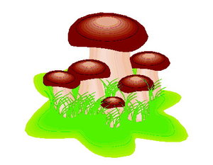 Cliparts Bloemen en planten Paddestoelen 