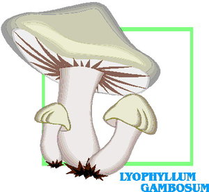 Cliparts Bloemen en planten Paddestoelen 