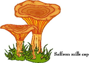 Cliparts Bloemen en planten Paddestoelen 