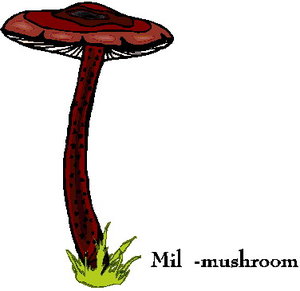 Cliparts Bloemen en planten Paddestoelen 
