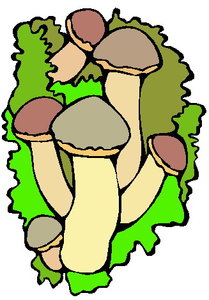 Cliparts Bloemen en planten Paddestoelen 