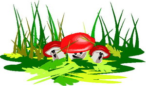 Cliparts Bloemen en planten Paddestoelen 