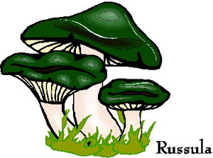Cliparts Bloemen en planten Paddestoelen 